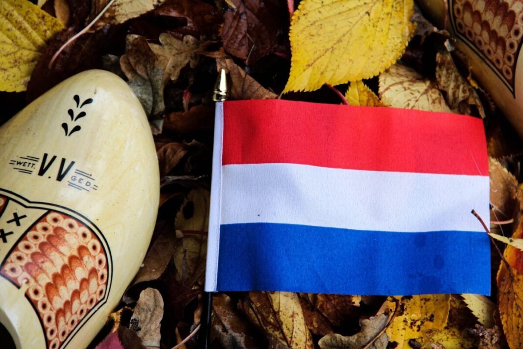 dutch flag steagul tarilor de jos